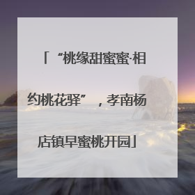 “桃缘甜蜜蜜·相约桃花驿”，孝南杨店镇早蜜桃开园