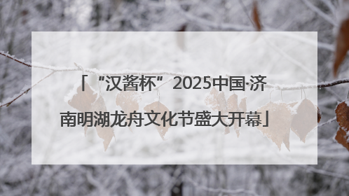 “汉酱杯”2025中国·济南明湖龙舟文化节盛大开幕