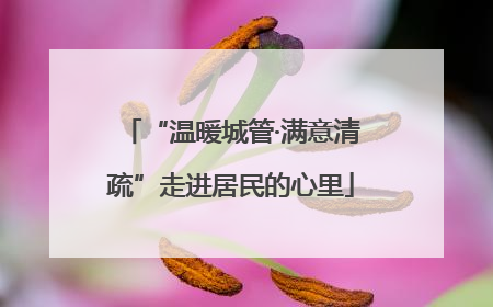 “温暖城管·满意清疏”走进居民的心里
