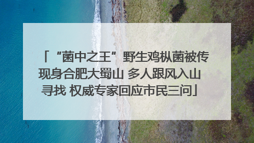 “菌中之王”野生鸡枞菌被传现身合肥大蜀山 多人跟风入山寻找 权威专家回应市民三问