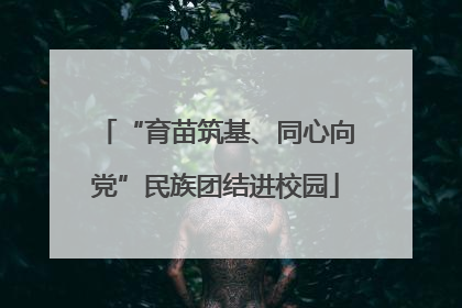 “育苗筑基、同心向党”民族团结进校园