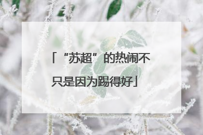 “苏超”的热闹不只是因为踢得好