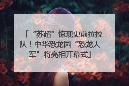 “苏超”惊现史前拉拉队！中华恐龙园“恐龙大军”将亮相开幕式