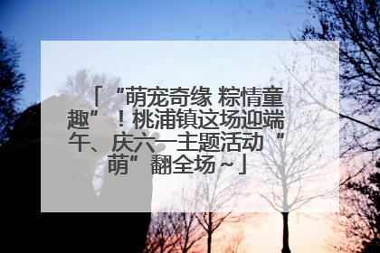 “萌宠奇缘 粽情童趣”！桃浦镇这场迎端午、庆六一主题活动“萌”翻全场～