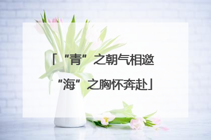“青”之朝气相邀 “海”之胸怀奔赴