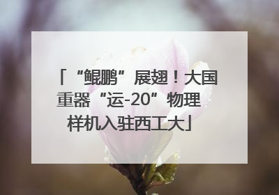 “鲲鹏”展翅！大国重器“运-20”物理样机入驻西工大