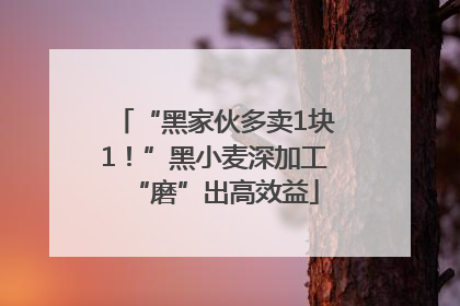 “黑家伙多卖1块1！”黑小麦深加工“磨”出高效益