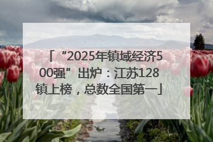 “2025年镇域经济500强”出炉：江苏128镇上榜，总数全国第一