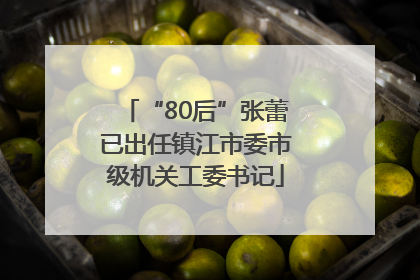 “80后”张蕾已出任镇江市委市级机关工委书记