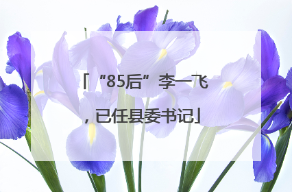 “85后”李一飞，已任县委书记