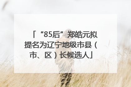“85后”郑皓元拟提名为辽宁地级市县（市、区）长候选人