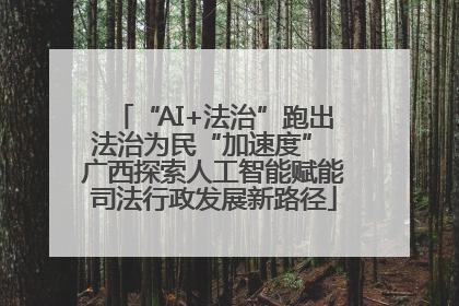 “AI+法治”跑出法治为民“加速度” 广西探索人工智能赋能司法行政发展新路径