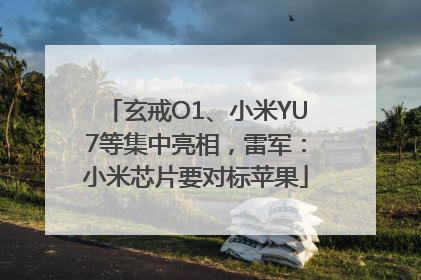 玄戒O1、小米YU7等集中亮相，雷军：小米芯片要对标苹果