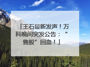 王石最新发声！万科晚间突发公告：“售股”回血！