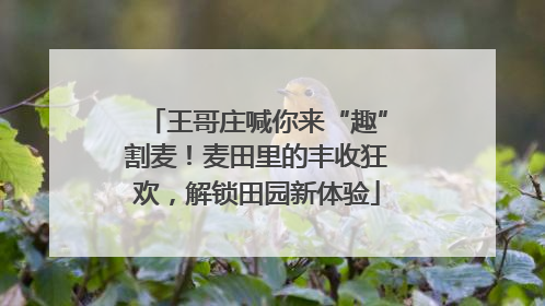 王哥庄喊你来“趣”割麦！麦田里的丰收狂欢，解锁田园新体验