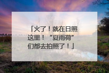 火了！就在日照这里！“夏雨荷”们都去拍照了！