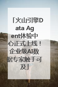 火山引擎Data Agent体验中心正式上线！企业级AI数据专家触手可及
