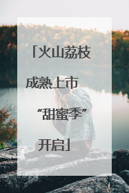 火山荔枝成熟上市 “甜蜜季”开启