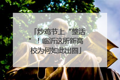 炒鸡节上“整活”！临沂这所新高校为何如此出圈