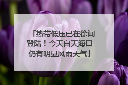热带低压已在徐闻登陆！今天白天海口仍有明显风雨天气