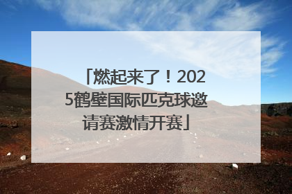 燃起来了！2025鹤壁国际匹克球邀请赛激情开赛