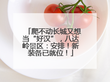 爬不动长城又想当“好汉”，八达岭景区：安排！新装备已就位！