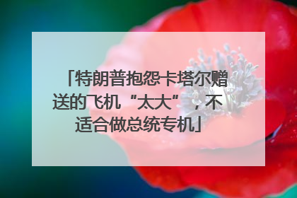 特朗普抱怨卡塔尔赠送的飞机“太大”，不适合做总统专机