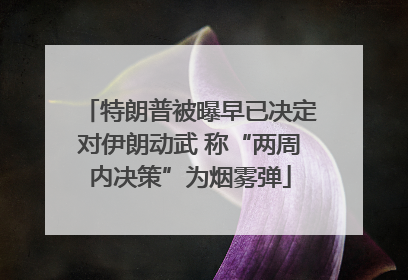 特朗普被曝早已决定对伊朗动武 称“两周内决策”为烟雾弹