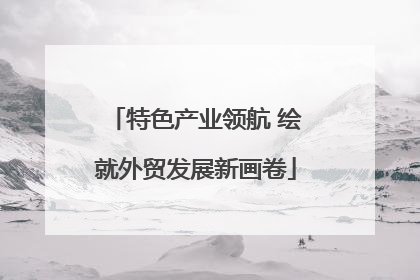 特色产业领航 绘就外贸发展新画卷