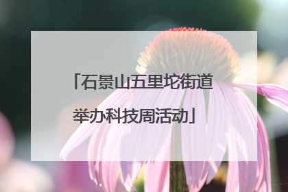 石景山五里坨街道举办科技周活动