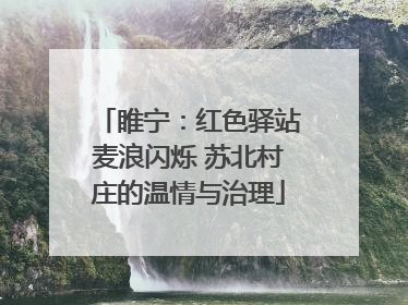 睢宁：红色驿站麦浪闪烁 苏北村庄的温情与治理