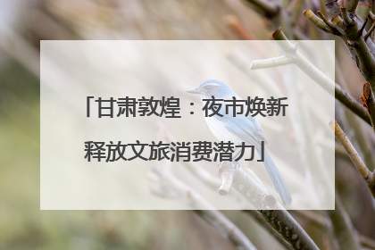 甘肃敦煌：夜市焕新释放文旅消费潜力