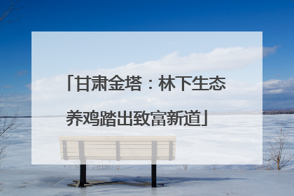 甘肃金塔：林下生态养鸡踏出致富新道