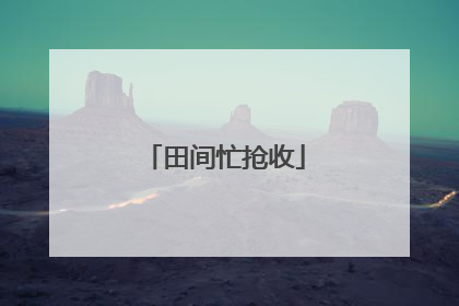 田间忙抢收