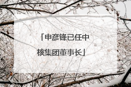 申彦锋已任中核集团董事长