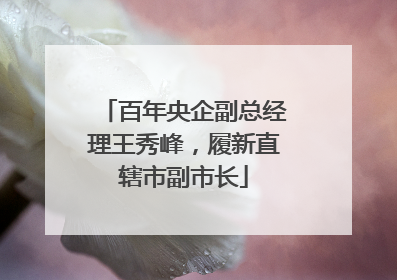 百年央企副总经理王秀峰，履新直辖市副市长