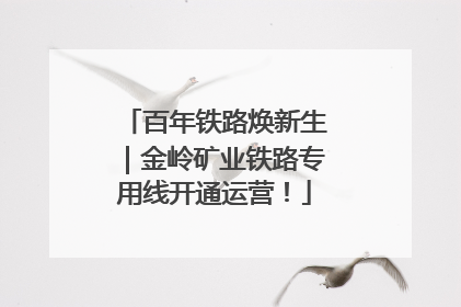 百年铁路焕新生｜金岭矿业铁路专用线开通运营！