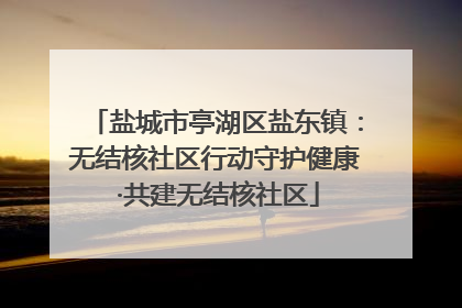 盐城市亭湖区盐东镇：无结核社区行动守护健康 ·共建无结核社区