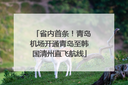 省内首条！青岛机场开通青岛至韩国清州直飞航线
