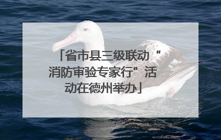 省市县三级联动“消防审验专家行”活动在德州举办