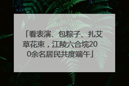 看表演、包粽子、扎艾草花束，江陵六合垸200余名居民共度端午