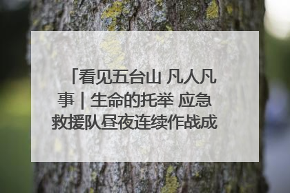 看见五台山 凡人凡事｜生命的托举 应急救援队昼夜连续作战成功救出两批被困游客