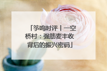 筝鸣时评丨一空桥村：强筋麦丰收背后的振兴密码