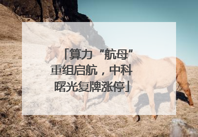 算力“航母”重组启航，中科曙光复牌涨停