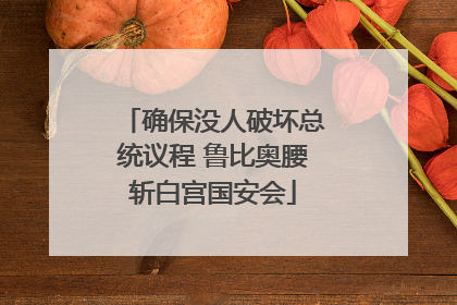 确保没人破坏总统议程 鲁比奥腰斩白宫国安会