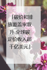 碳价和排放覆盖率双升 全球碳定价收入超千亿美元