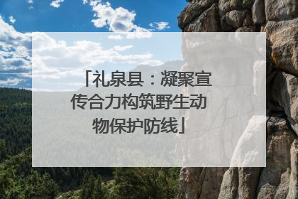 礼泉县：凝聚宣传合力构筑野生动物保护防线