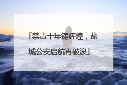 禁毒十年铸辉煌，盐城公安启航再破浪