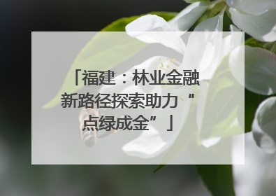福建：林业金融新路径探索助力“点绿成金”