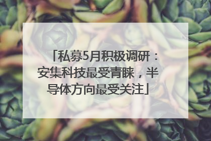 私募5月积极调研：安集科技最受青睐，半导体方向最受关注